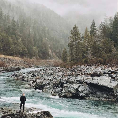 Into The Wild - Royalty Free happy-folk Music